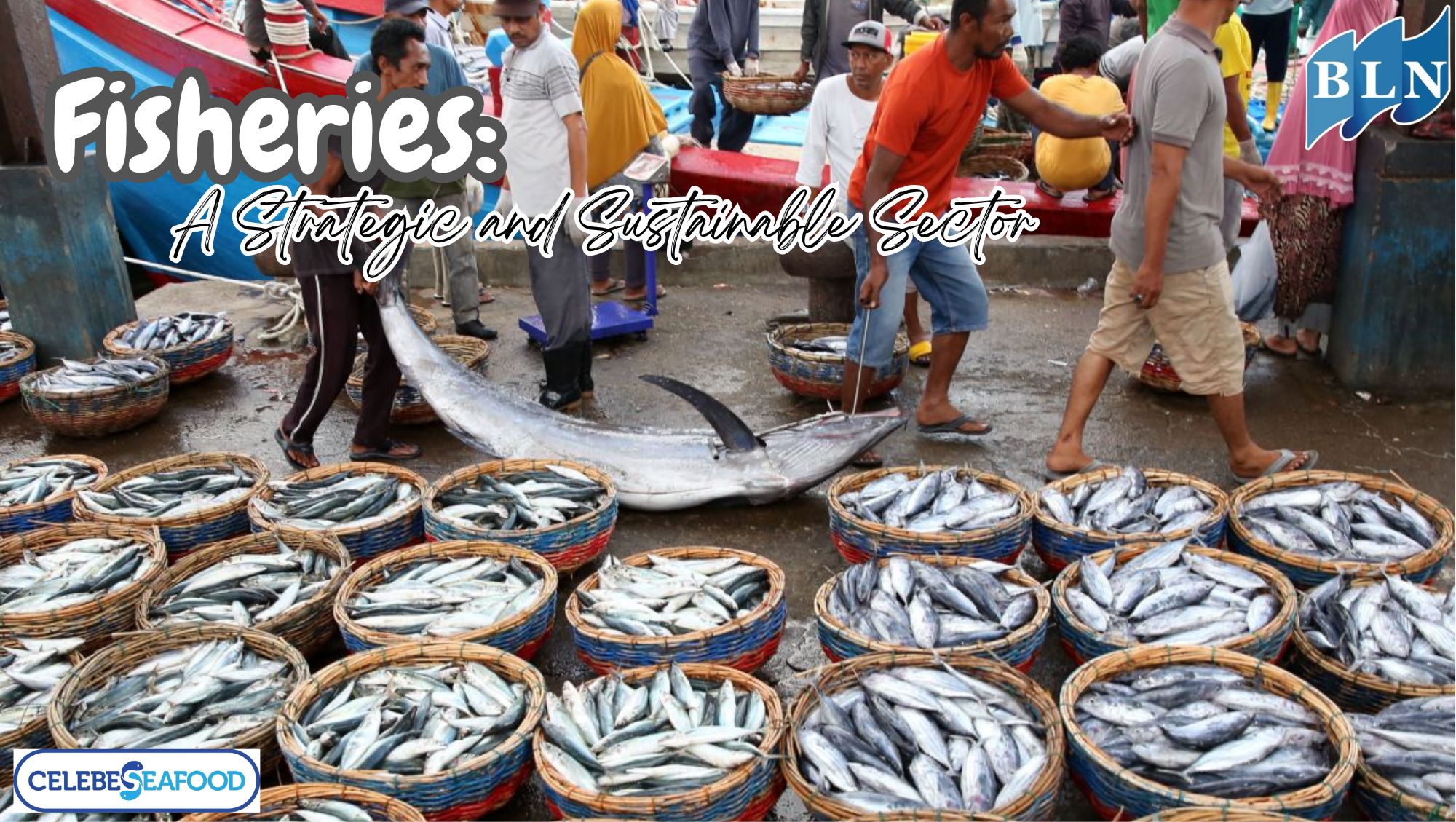 This is How Fisheries: A Strategic and Sustainable Sector
